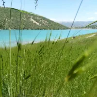 نیازمند نیروی خدماتی