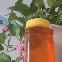 عسل