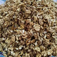 کار درمنزل شکوندنه گردو