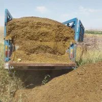 کود حیوانی گوسفندی و گاوی