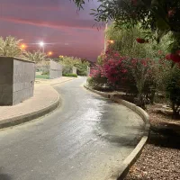 ظرفشور ، هاست