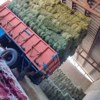 پرس یونجه درجه یک