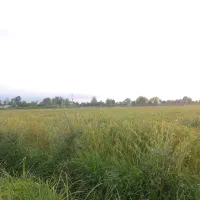 فروش-زمین-مسکونی