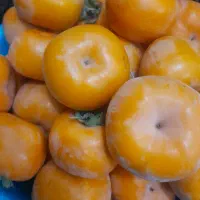 خرمالوتازه|خوردنی و آشامیدنی|آزادشهر, |دیوار