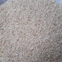 نیم دانه هاشمی|خوردنی و آشامیدنی|رشت, پل تالشان|دیوار