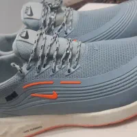 کفش نایک ۴۴|کیف، کفش، کمربند|صدرا-فارس, فاز ۱|دیوار