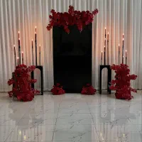 اجاره لوازم تولدو عقد بادکنکارایی