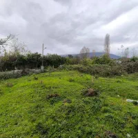 زمین ۱۰۰۰متری ییلاق چالوس