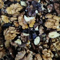 مغز گردو ایرانی