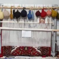 فروش دار قالی