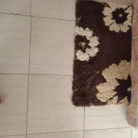 پادری