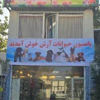 کارگر پانسیون سگ با جایی خواب