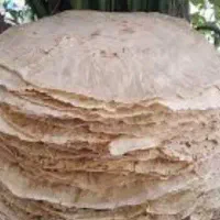 پخت نان محلی