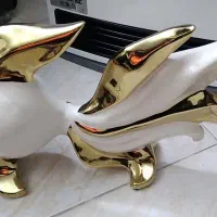 ماهی تزئینی