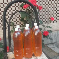 آبغوره بی نمک پارسال