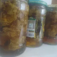 عسل وحشی رکو