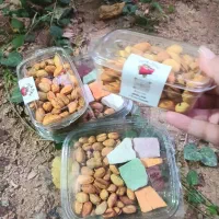 میوه خشک و بستنی خشک|خوردنی و آشامیدنی|شیراز, بعثت|دیوار