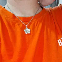 زنجیر و پلاک گل نقره