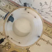 جارو برقی صنعتی عیسی 3موتوره