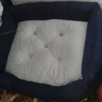 فروش تشک سگ نو