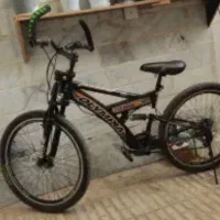 یک عدد دوچرخه