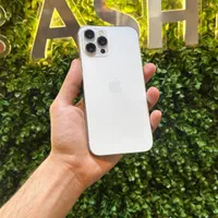اپل iPhone 12 Pro Max با حافظهٔ ۲۵۶ گیگابایت