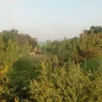 زمین ۲۱۰ متر لنگرود،شلمان،بالامحله،گلسار|فروش زمین و ملک کلنگی|شلمان, |دیوار