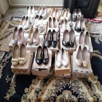 کفش مجلسی|کیف، کفش، کمربند|نسیم‌شهر, |دیوار