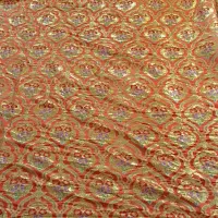 پرده سالم سالم