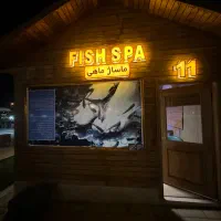 دعوت به همکاری در مجموعه سافاری پارک آکام