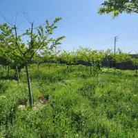 باغ ویلا 1100متری آب برق ملکی