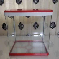 آکواریوم سالم و زیبا