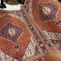 شش متری جفت ماهی تبریز.