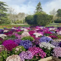 انجام کلیه امورات باغبانی وفضای سبز