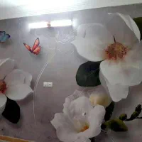 نصب با بالاترین کیفیت با بیش از ۱۵سال سابقه کاری|خدمات پیشه و مهارت|شاهین‌شهر, حافظ شمالی|دیوار