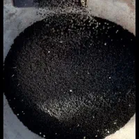 بذر پیاز کاشت خودم درجه یک