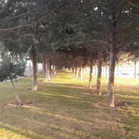 زمین باغ شهر