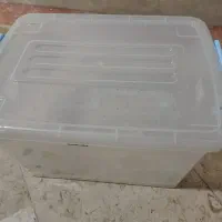 باکس شفاف جانونی