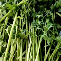 سبزی فله پاک شده شسته شده