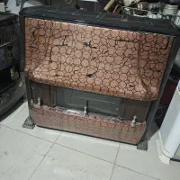بخاری بزرگ سالم
