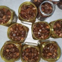 سیر ترشی ۱۰ ساله