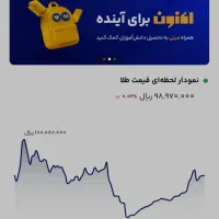 طلا میلی کسب کار اسان