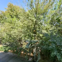 آپارتمان-3-خوابه-شیمی-گیاه