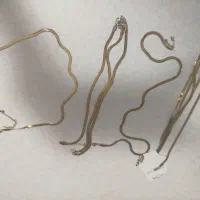 پابند
