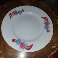 بشقاب پلوخوری ملامین|ظروف سرو و پذیرایی|تهران, وصفنارد|دیوار