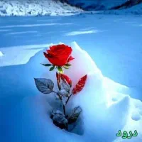 سیم کارت دائمی همراه اول