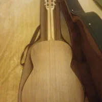 گیتار مدل اگرین