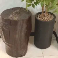 تنه درخت چوبی|صنایع دستی و سایر لوازم تزئینی|کرج, فاز ۴ مهرشهر|دیوار