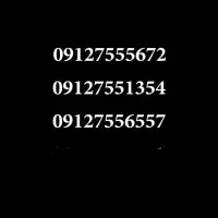09125551334