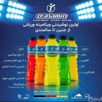 ویزیتور حرفه ای